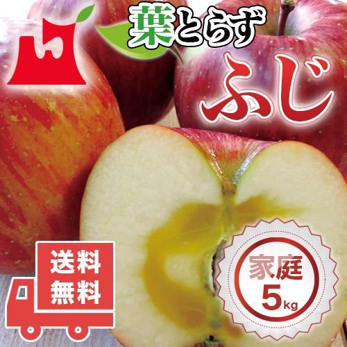 送料無料　青森県産　葉とらず　ふじ ご家庭用5kg　(約14〜18個)人気の訳ありリンゴ 青森産　訳あり　サンふじ