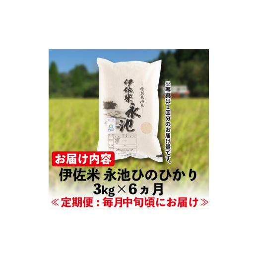 ふるさと納税 鹿児島県 伊佐市 C0-09 令和5年産 新米 特別栽培米 伊佐米永池ひのひかり(計18kg・3kg×6ヶ月)