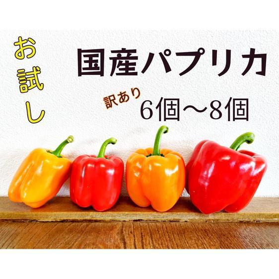 ＜訳あり＞ 野菜 パプリカ お試しパプリカ訳ありミックス(6〜8個) 産地直送