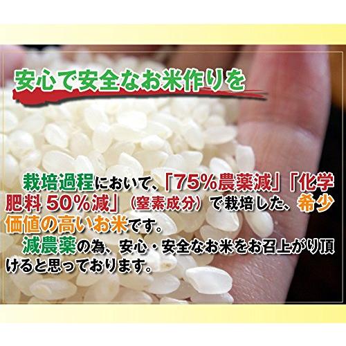  お米 10kg コシヒカリ 5分づき 5kg×2袋 丹波ささ山産 特別栽培米 7.5割農薬減 兵庫県 一等米 令和5年産