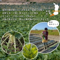 季節の泉州野菜 10種 おまかせセット ピクルスの素 2袋付き