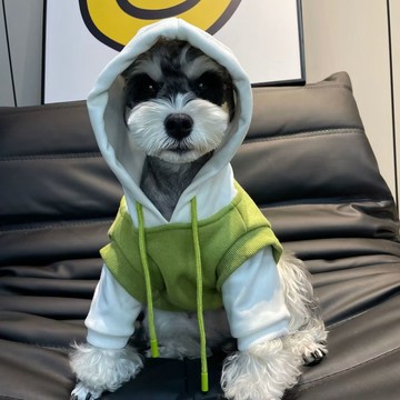💖臺灣-出貨💖春秋夏裝新款狗狗衣服潮牌薄款雪納瑞泰迪比熊博美茶杯犬貓咪衣服04rt