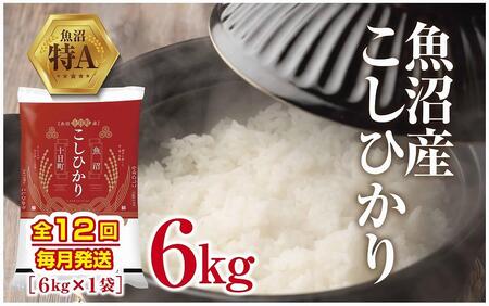 魚沼産 こしひかり 6kg 米 コシヒカリ お米 コメ 新潟 魚沼 魚沼産 白米 送料無料 新潟県産 精米 産直 産地直送 契約農家 お取り寄せ 壱成 新潟県 十日町市