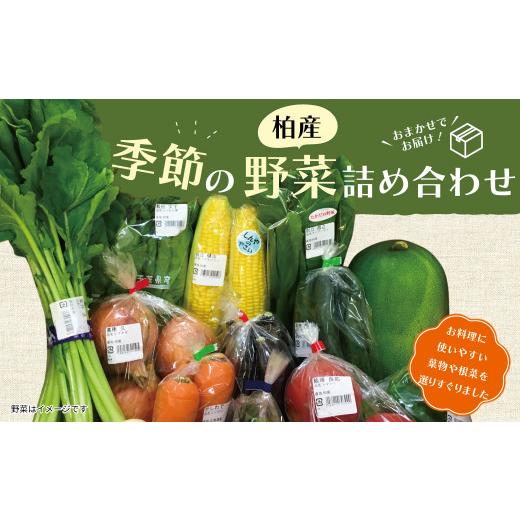 ふるさと納税 千葉県 柏市 季節の野菜詰め合わせBOX