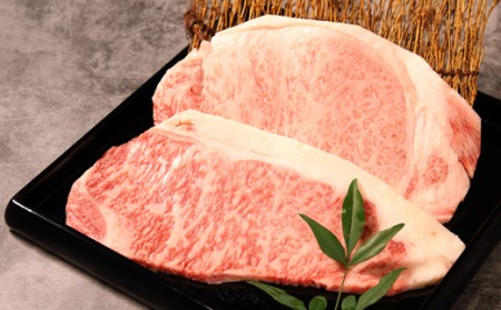 宮崎牛ロースステーキ1.6kg（200ｇ×8枚） [南日本フレッシュフード　スライス工場 宮崎県 日向市 100-01]