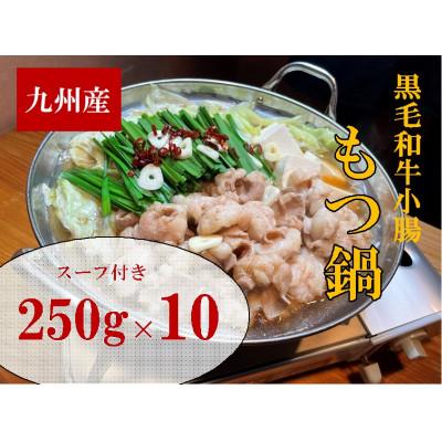 ふるさと納税 筑前町 九州産ぷりぷりの小腸「割烹　もつ鍋セット」(250g×10セット)(筑前町)