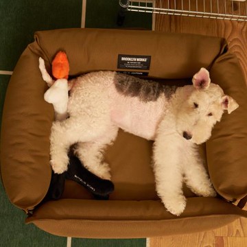 BROOKLYNWORKS Pet Toy 寵物墊 -兩色任選