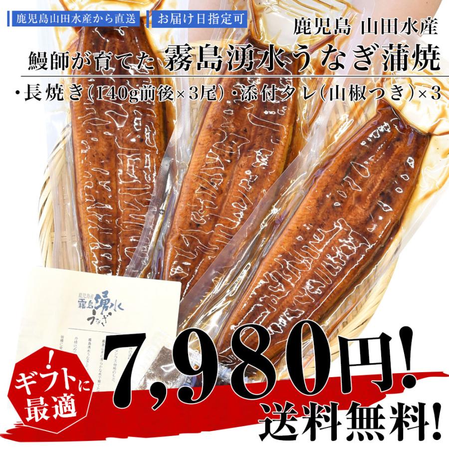 鹿児島県志布志産　山田水産　霧島湧水うなぎ　長蒲焼き　大サイズ3尾セット（140g前後×3尾）送料無料 鰻師 加藤尚武さん ギフト