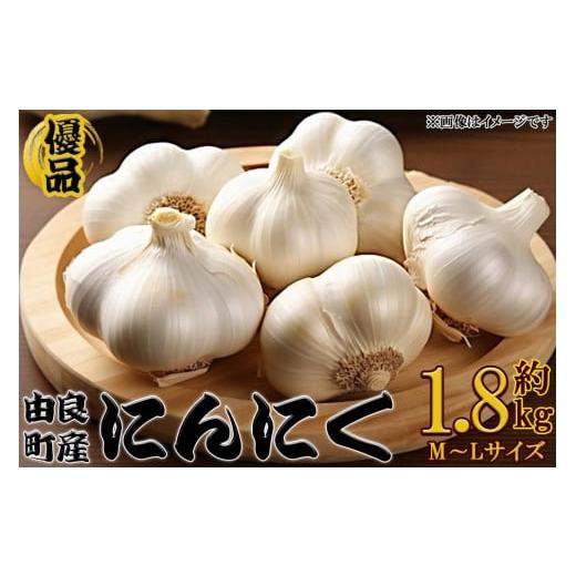 ふるさと納税 和歌山県 由良町 由良町産にんにく 優品 約1.8kg(900g×2／M〜Ｌサイズ)