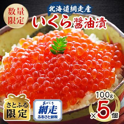 ふるさと納税 網走市 北海道 網走産 冷凍いくら醤油漬 100g×5個