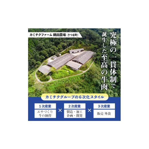 ふるさと納税 鹿児島県 さつま町 s317 お肉屋監修！黒毛和牛使用コロッケ(計50個・5個×10P)