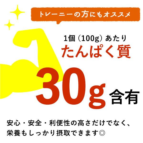 ［内野家］1個でたんぱく質30g!!国産素材のサラダチキン ブラックペッパー＆ガーリック ×10袋［常温］