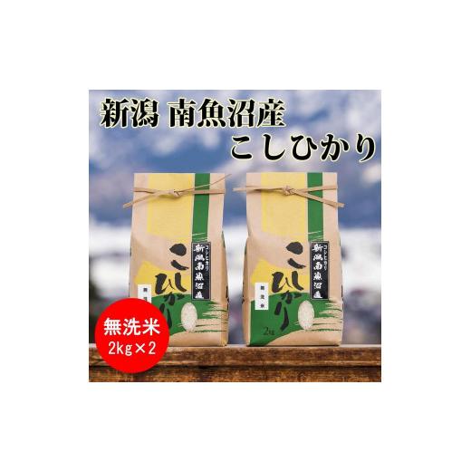 ふるさと納税 新潟県 南魚沼市 南魚沼産コシヒカリ(無洗米2kg×2袋)を全12回