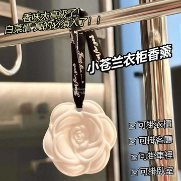 18h🔥S有貨在臺+99免運🔥衣櫃香薰持久房間留香衣櫥除臭神器石膏香片傢用蠟片香氛車載香薰