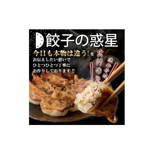 ふるさと納税 大阪府 箕面市 餃子の惑星 ビールが恋する100個セット(2種・合計100個・ピリ辛れんこん餃子50個、オリジナル餃子50個)【株式会社夢職…