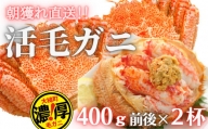 三陸産 三陸活毛ガニ 400g×2杯(2尾)天然 国産 冷蔵 三陸 直送 濃厚 かに 蟹 カニ 毛ガニ 毛蟹 毛がに