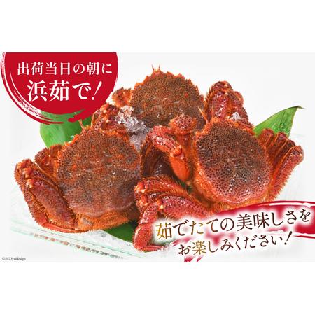 ふるさと納税 ＜先行予約＞かに 三陸産浜ゆで毛ガニ 約500g×2 計1kg [村東商店 宮城県 気仙沼市 20562147] 冷蔵 カニ 毛がに 魚介 海鮮 .. 宮城県気仙沼市