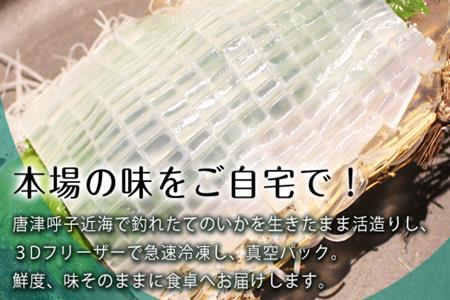 唐津呼子産いか活造り 2杯(180g×2) 急速冷凍 新鮮そのまま食卓へ！イカ 刺身 簡単 ギフト「2023年 令和5年」