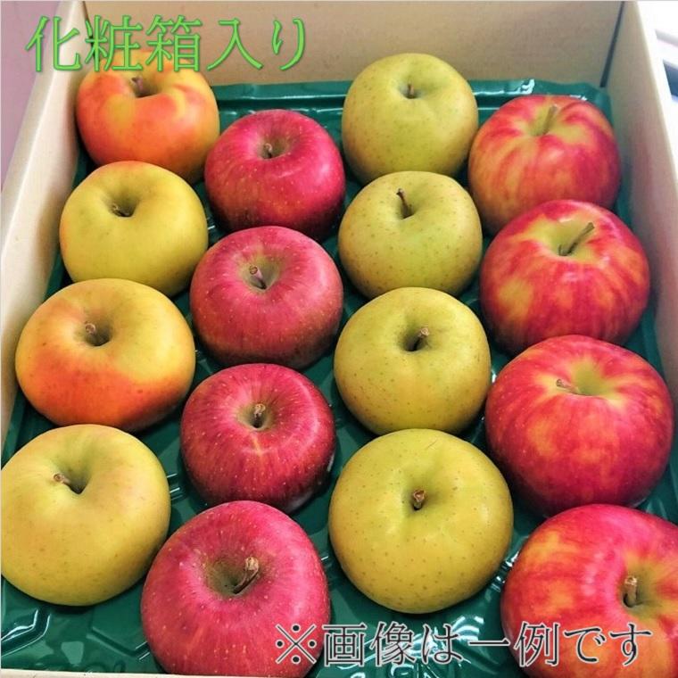 福袋　りんご 厳選産地  御歳暮 お歳暮 ギフト 長野 青森 厳選 セット 食べ比べ 詰め合わせ リンゴ