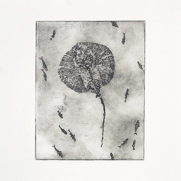 蝕刻版畫 Etching | 永恆瞬間 Frozen in Time