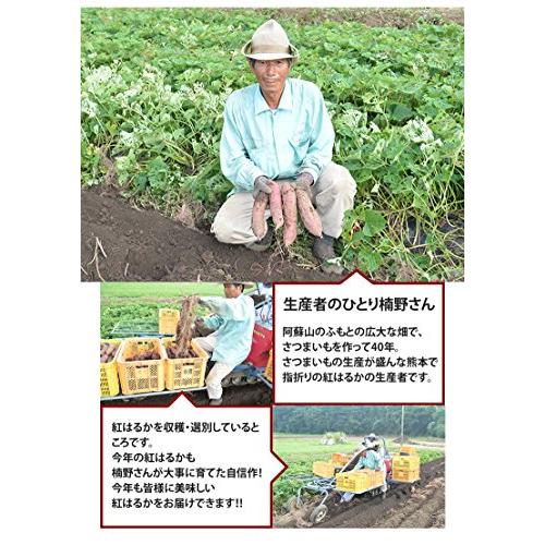 紅はるか さつまいも 4.5kg 熊本県産 サツマイモ 紅蜜芋 焼き芋 芋 いも