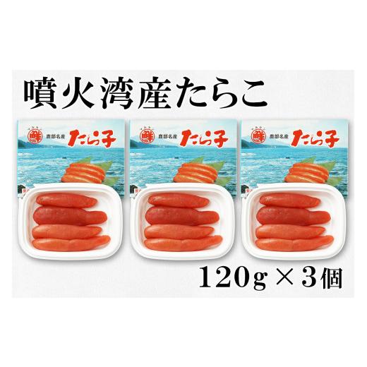 ふるさと納税 北海道 鹿部町 大粒ほたて貝柱250g×1 噴火湾産たらこ120g×3 昆布味明太子120g×3 丸鮮道場水産 小分け 食べ切り 食べきり 北海道