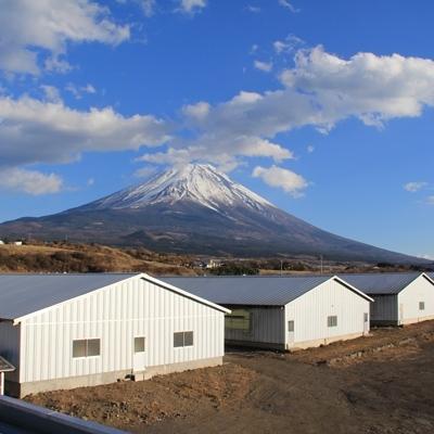 ふるさと納税 富士河口湖町 山中湖ハムの荒挽きシリーズ!　＜ドイツ国際食肉加工コンテストで金賞受賞＞