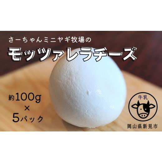 ふるさと納税 岡山県 新見市 モッツァレラチーズ 約100g×5パック