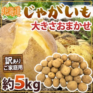 北海道産 ”じゃがいも” 訳あり 約5kg 大きさおまかせ 送料無料