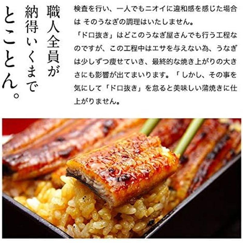 うなぎ屋かわすい 特大国産 うなぎ 蒲焼き（170g）3尾セット（タレ付き 山椒別売り） 川口水産