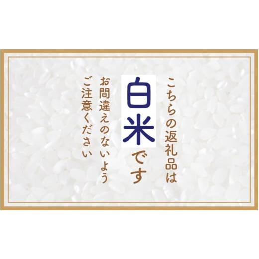 ふるさと納税 福井県 越前町 [e30-c010] 定期便≪3ヶ月連続お届け≫ハナエチゼン 10kg × 3回 令和5年 福井県産【お米 はなえちぜん 華越前 計30キロ…