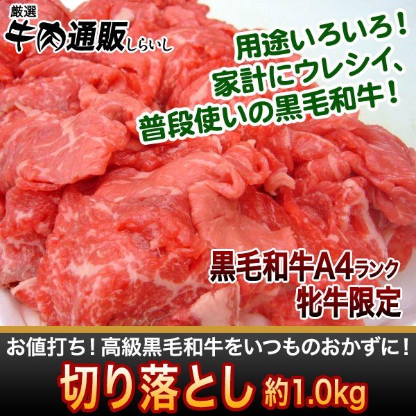 佐賀牛、宮崎牛　黒毛和牛の切り落とし 1kg[送料無料]