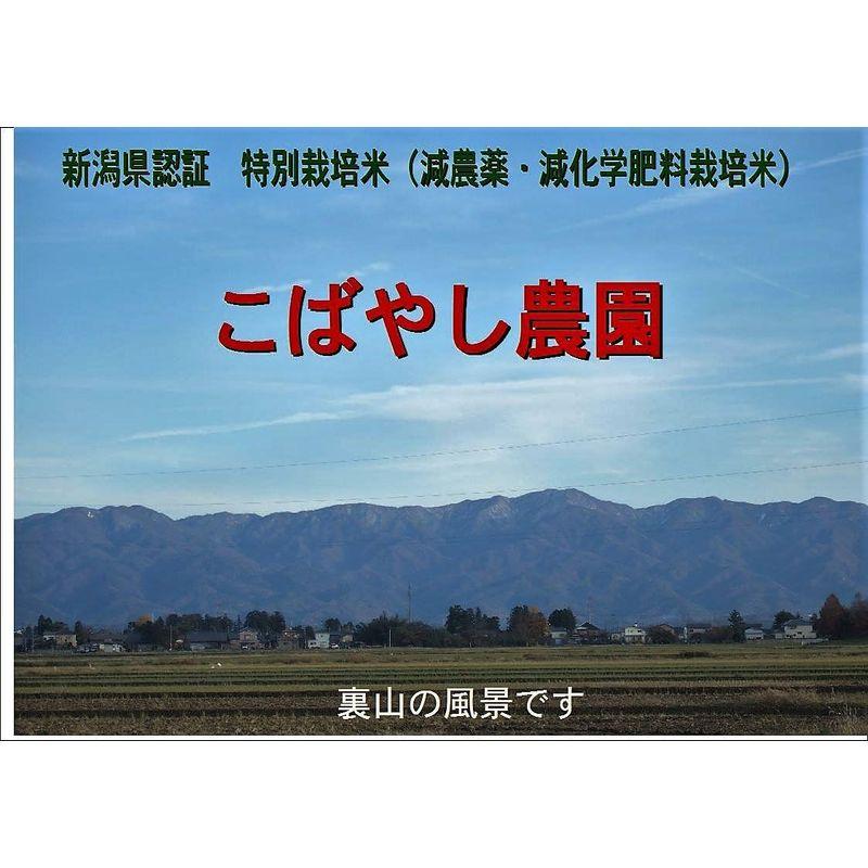 こばやし農園 ミルキークイーン 白米 令和5年産 (5kg) 新潟県産 特別栽培米（減農薬・減化学肥料栽培米）