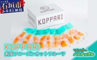 KP-1 南国フローズンカットフルーツ