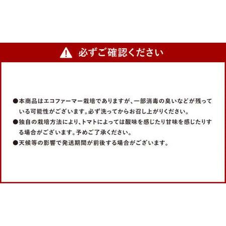 ふるさと納税 ソムリエ ミニトマト  プラチナ 3kg とまと トマト 熊本県