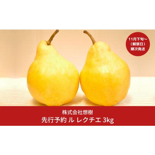 ふるさと納税 新潟県 三条市 ル レクチェ 約3kg (5〜11個) JGAP認証農場 新潟県 三条市産  ル レクチエ 期間限定 冬限定  幻の西洋梨 フルーツ 秋 旬 洋梨 ル…