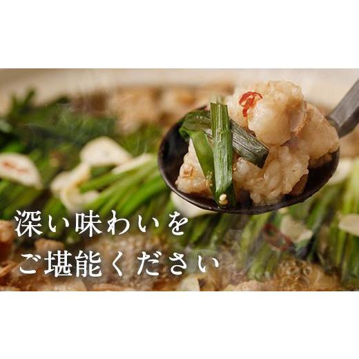 ふるさと納税 鹿児島県 大崎町 焼き肉屋さんのもつ鍋セット