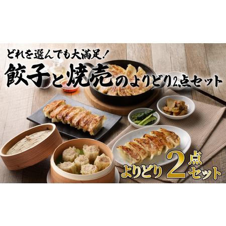 ふるさと納税 どれを選んでも大満足！ 餃子 と 焼売 のよりどり2点 セット　K033-005 中華 惣菜 総菜 レトルト 冷凍食品 加工食品 選べる 鹿児島県鹿児島市