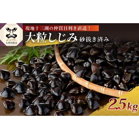 ふるさと納税 しじみ　津軽十三湖産大粒しじみ2.5kg（冷凍・砂抜き済） 青森県五所川原市