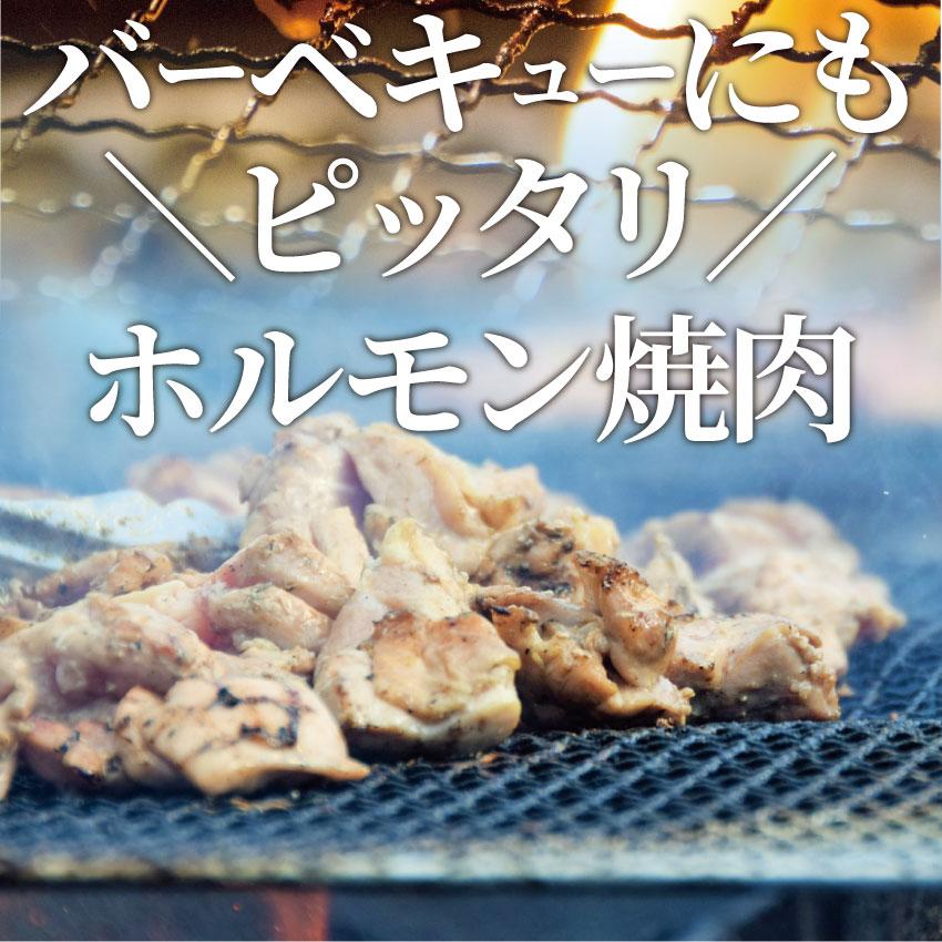 焼肉 牛肉 肉 ホルモン テッチャン モツ シマチョウ 2kg 250g×8袋 バーベキュー 焼くだけ