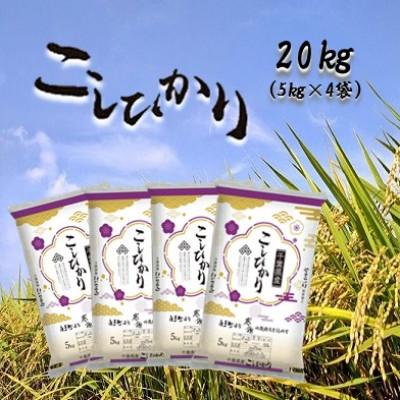 ふるさと納税 白子町 新米 令和5年産千葉県産コシヒカリ 精米 20kg (5kg×4袋)