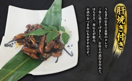 三河一色うなぎ蒲焼 3尾(肝焼き付き)うなぎ 蒲焼