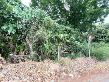 76快速道路旁｜有水井電力｜果園農地｜彰化縣埔心鄉梧鳳段