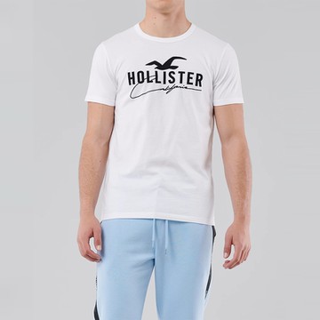 Hollister 經典刺繡大海鷗圖案短袖T恤-白色