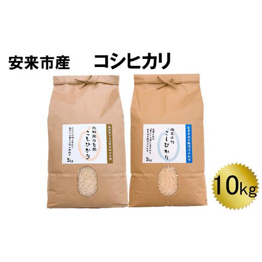 ふるさと納税 島根県 安来市 安来市産コシヒカリ10kg 令和5年産 新米