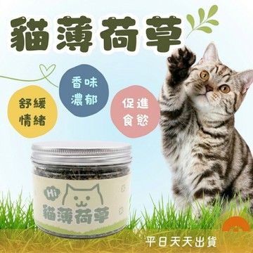 罐裝 有機農場貓薄荷 貓草 木天蓼 有機貓薄荷 野生木天蓼 蟲癭果實