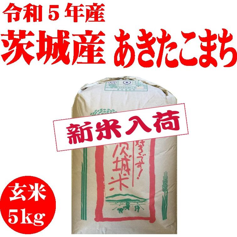 令和5年新米　玄米5kg　送料無料　茨城あきたこまち