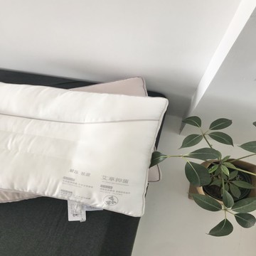 『百貨屋二號』舒緩壓力艾草護頸枕助睡眠超細羽絲絨纖維枕頭芯子單只成人枕