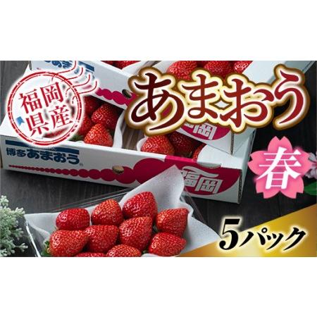 ふるさと納税 福岡産あまおう春5パック 先行予約※2024年2月上旬から2024年3月下旬に順次発送予定　AX004 福岡県宇美町