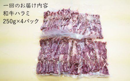 九州産 和牛 ハラミ 1kg（ 250g×4パック） 《長与町》 [EAX092] 肉 牛肉 焼肉 焼き肉 BBQ 冷凍 贅沢 1kg 大容量